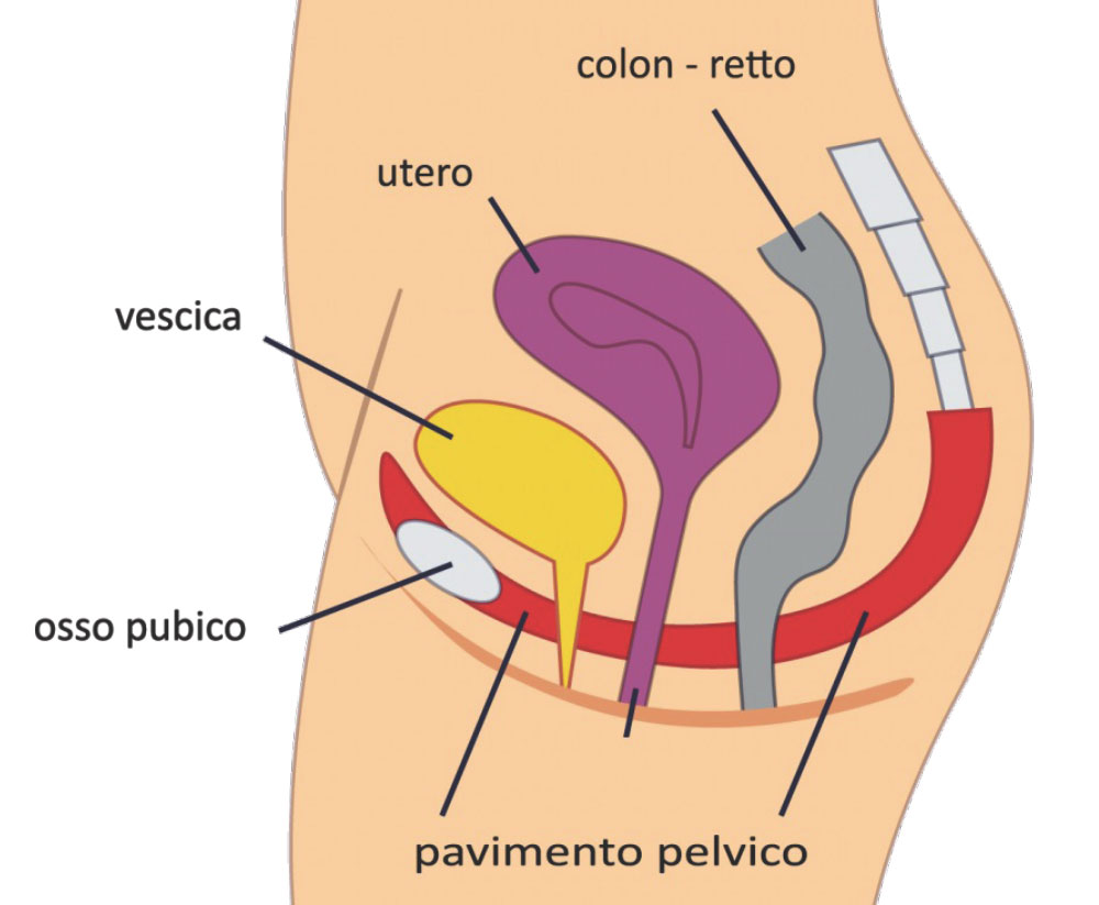 Yoga pavimento pelvico